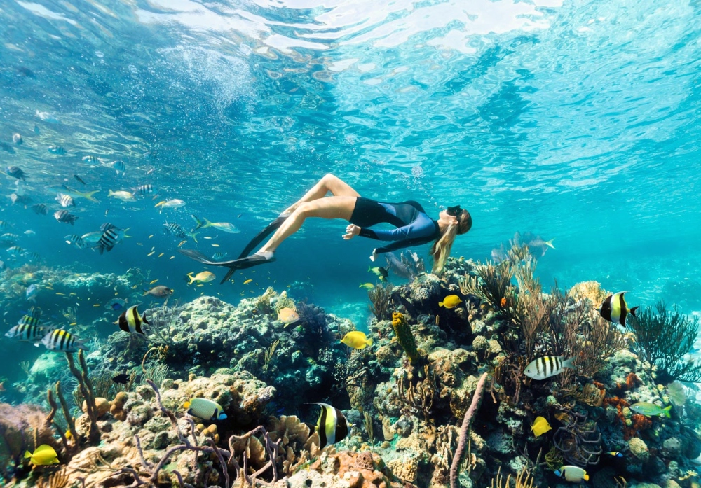 Ilha de Andros, nas Bahamas, abriga a 3ª maior barreira de corais do planeta