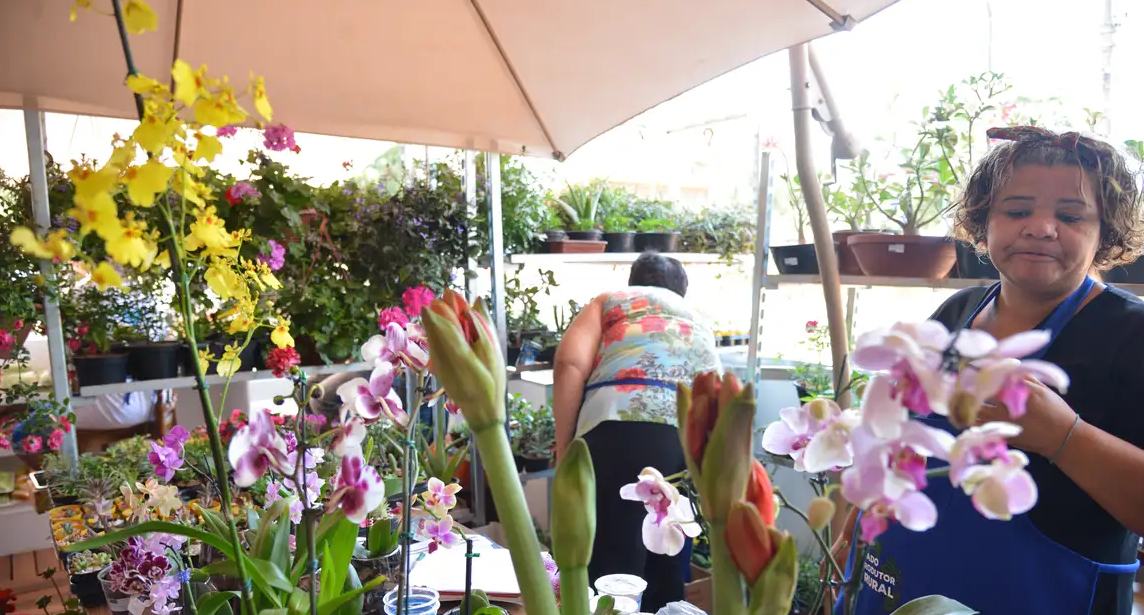 Floricultura, Flores, Empreendedorismo, Microempreendedor Foto Agência Brasil