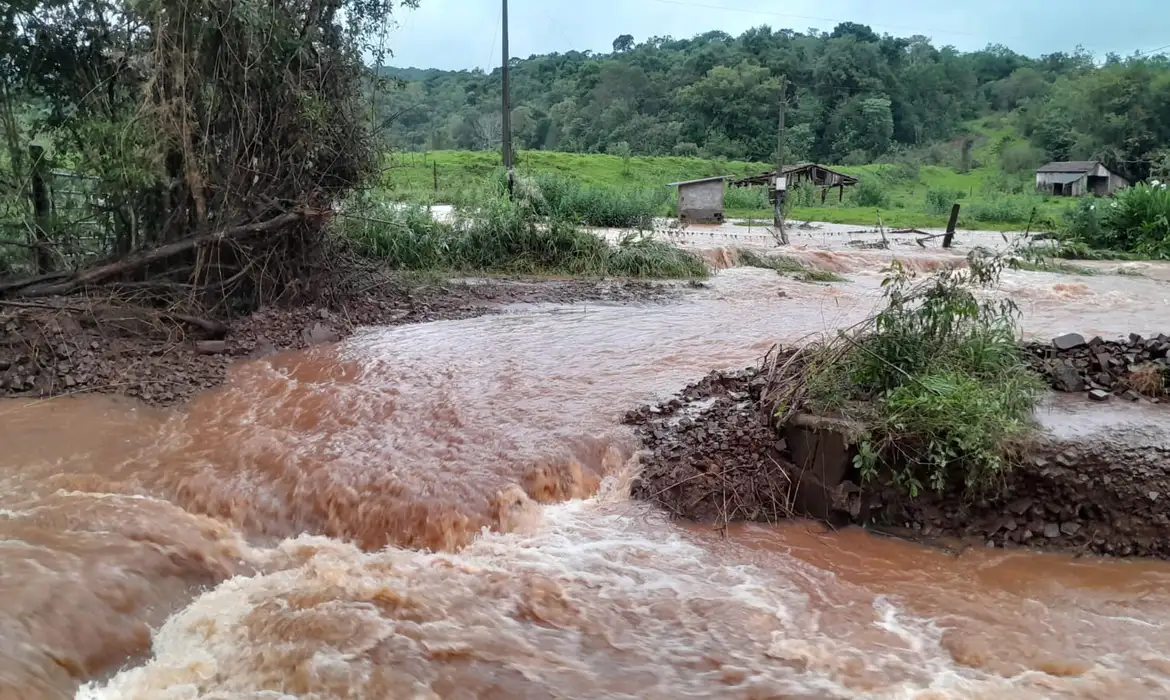 “Tragédia sem precedentes no campo”, dizem pequenos agricultores do RS