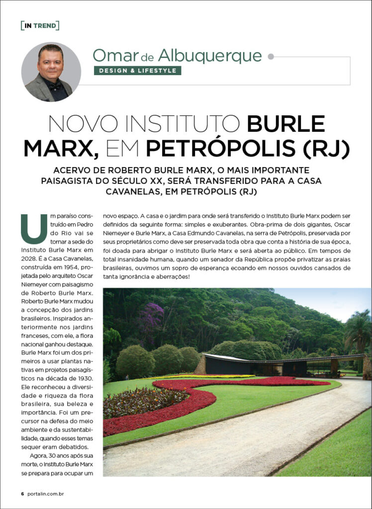 Insider #213 Grupo Clay6