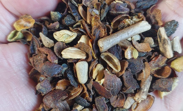 Governo divulga lista de cafés torrados impróprios para consumo