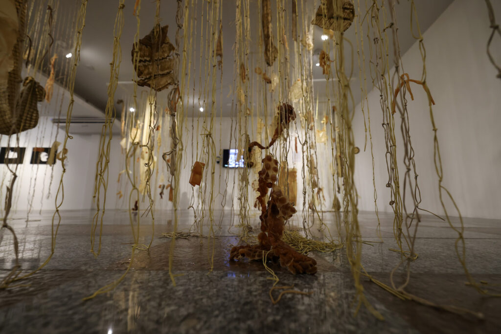 Exposições Na Unifor Teologia Natural E Nascente 11