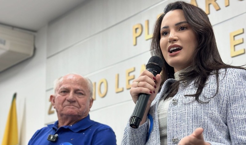 Novo Projeto