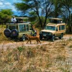 5943fe5c Aafc 4949 B5c9 D6812f1bffb9 2