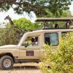 Ad8a698b 3a49 4ae3 A47b 4ff35c8e931b