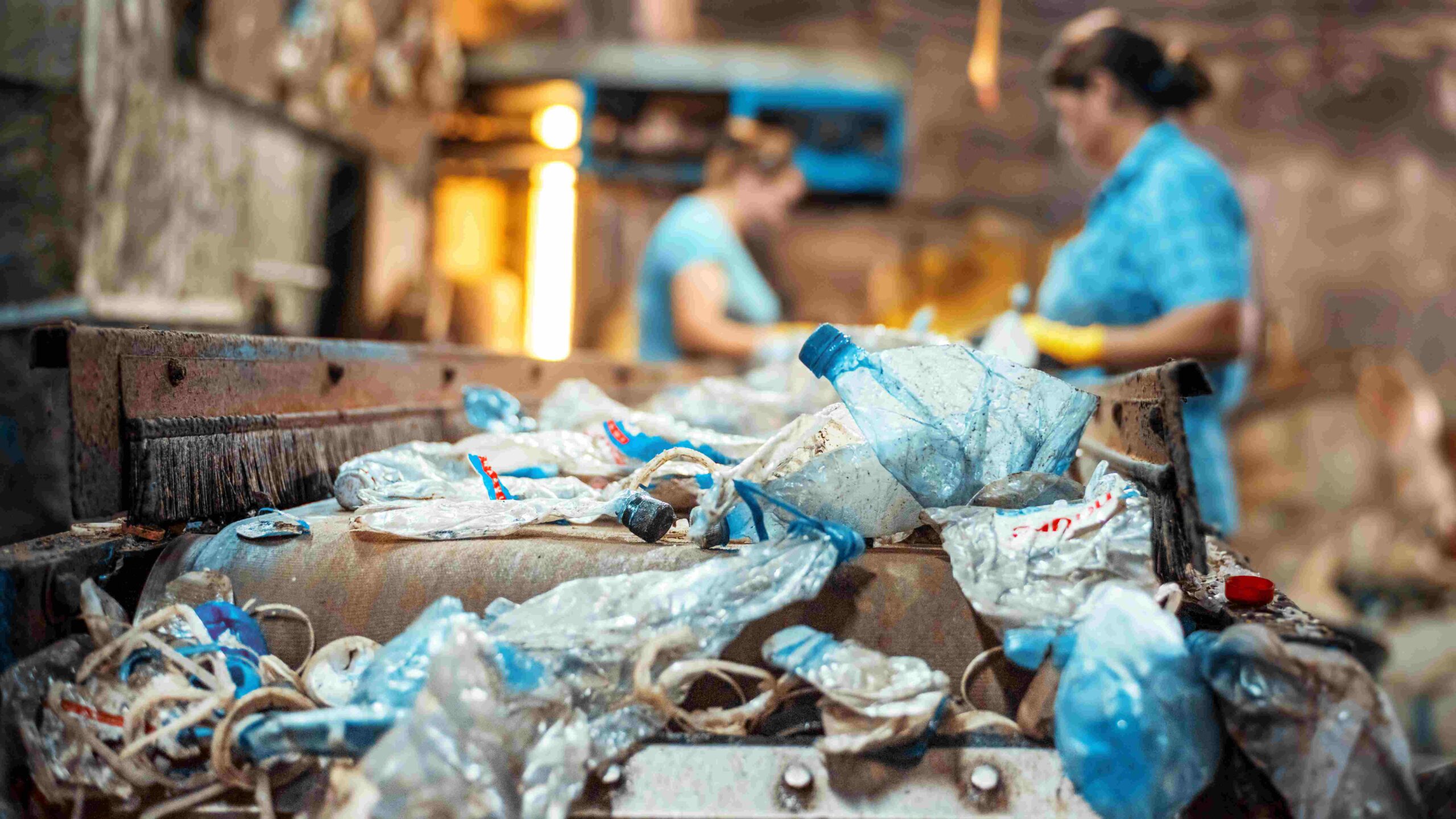 IBGE: quase 90% das empresas tiveram alguma prática ambiental em 2023 IBGE: quase 90% das empresas tiveram alguma prática ambiental em 2023