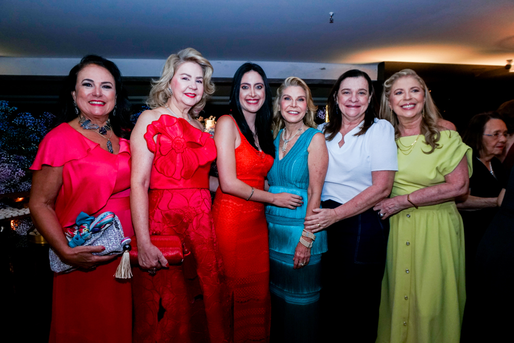 Aniversário De Rosângela De Francesco (13)