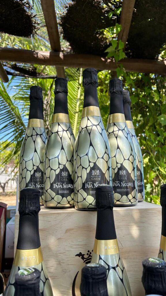 D'vinos Na Copa Siel Camará 7