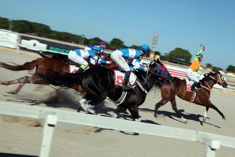 Jockey Club Cearense recebe Festival do Cavalo durante o final de semana Jockey Club Cearense recebe Festival do Cavalo durante o final de semana