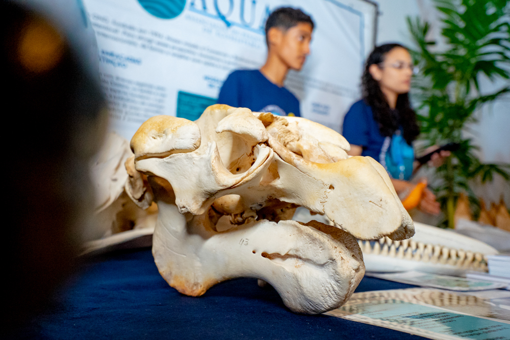 Jornada Sustentável Beach Park (23)