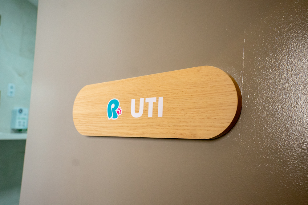 Inauguração Alfhavile Home Pet (20)