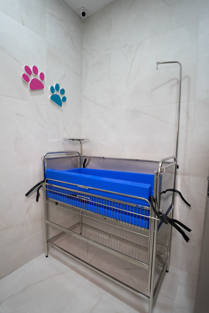 Inauguração Alfhavile Home Pet (28)