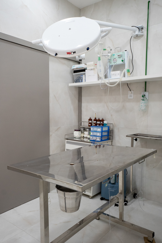 Inauguração Alfhavile Home Pet (30)