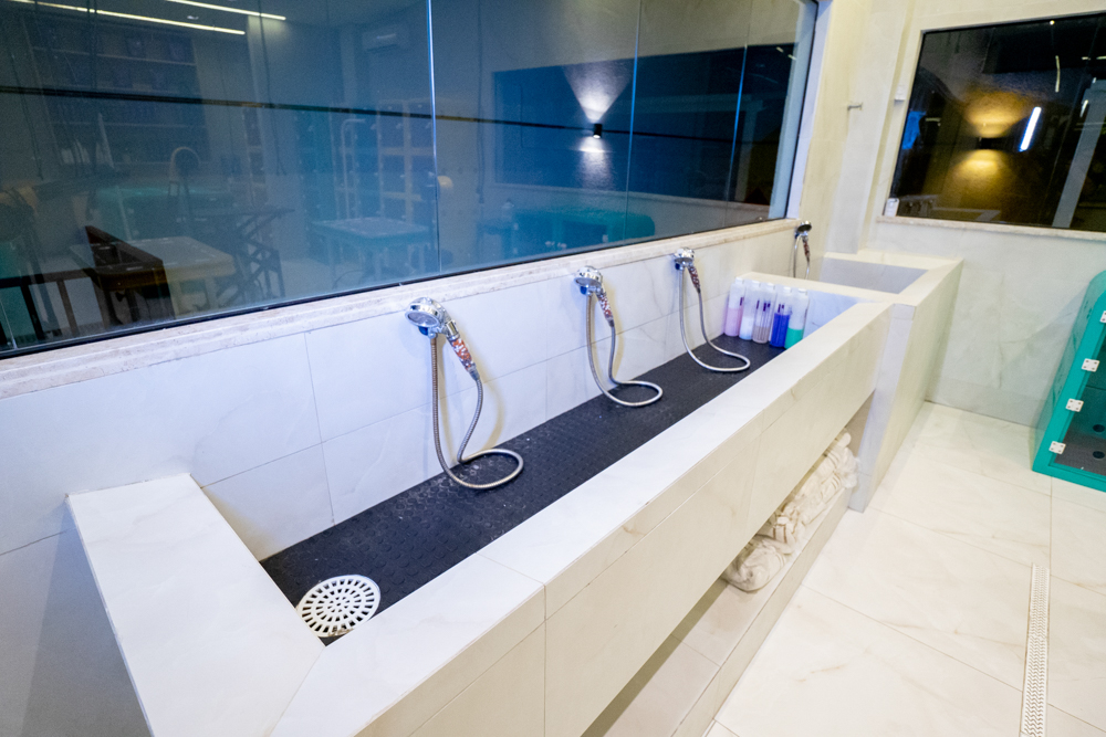 Inauguração Alfhavile Home Pet (44)