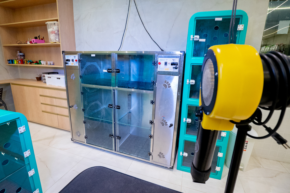 Inauguração Alfhavile Home Pet (46)