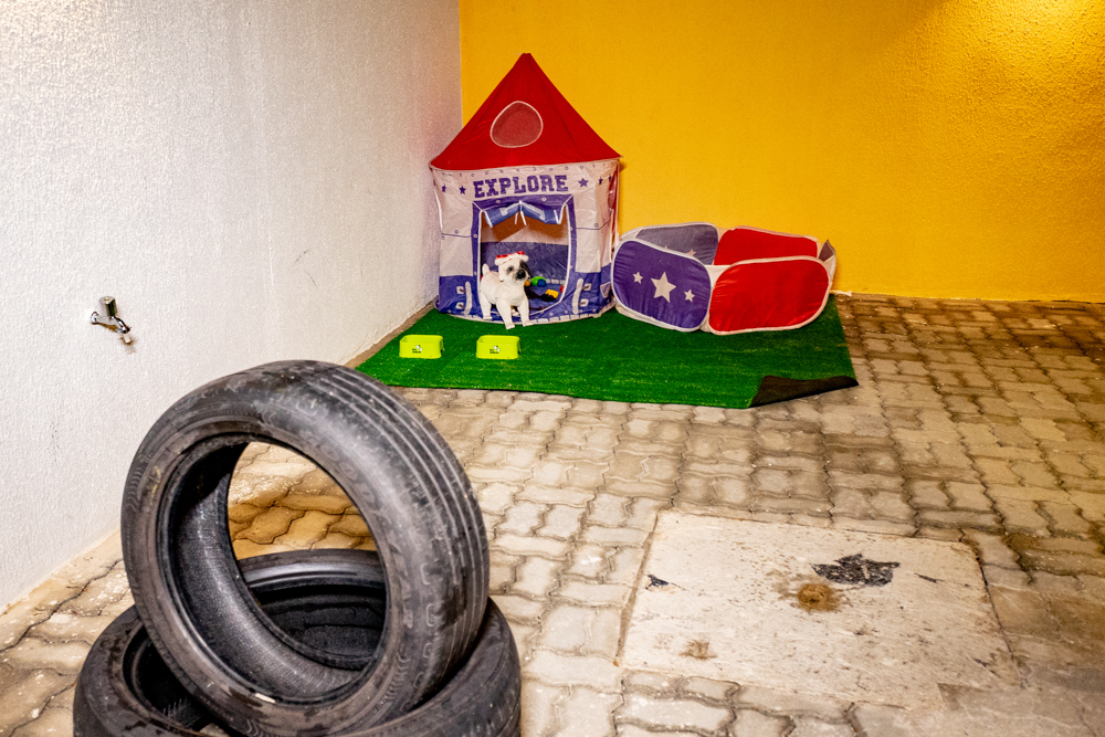 Inauguração Alfhavile Home Pet (88)