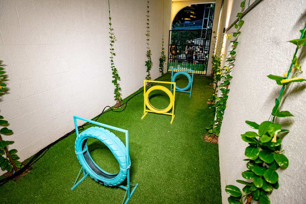 Inauguração Alfhavile Home Pet (99)