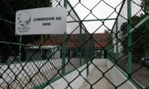 Margem Equatorial Petrobras Terá Duas Bases Para Tratar Fauna Marinha Foto Agência Brasil