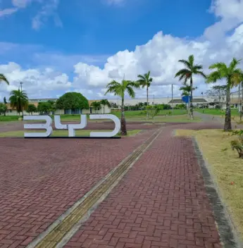 BYD planeja dobrar vendas para 800 mil carros em 2025 e expandir produção no Brasil e no Sudeste Asiático