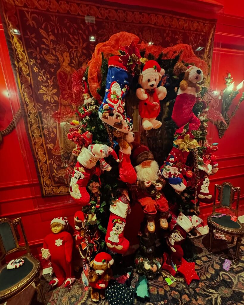 Natal Marcella Porto (3)