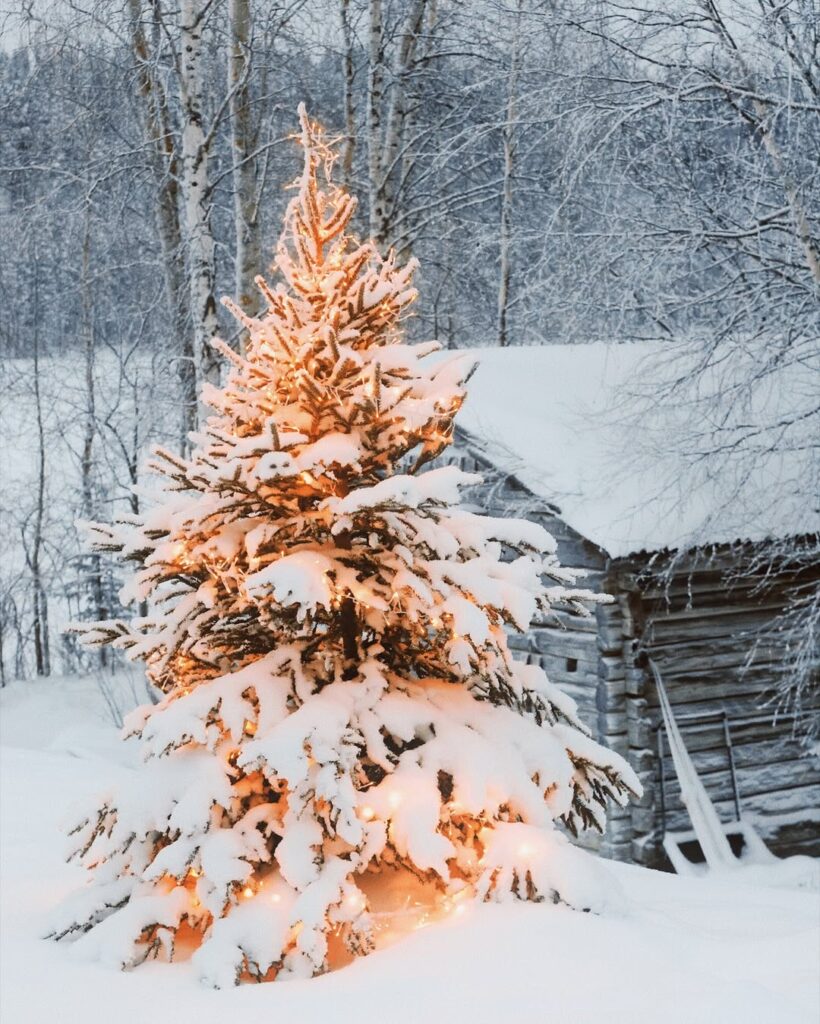 Natal Na Lapônia (2)