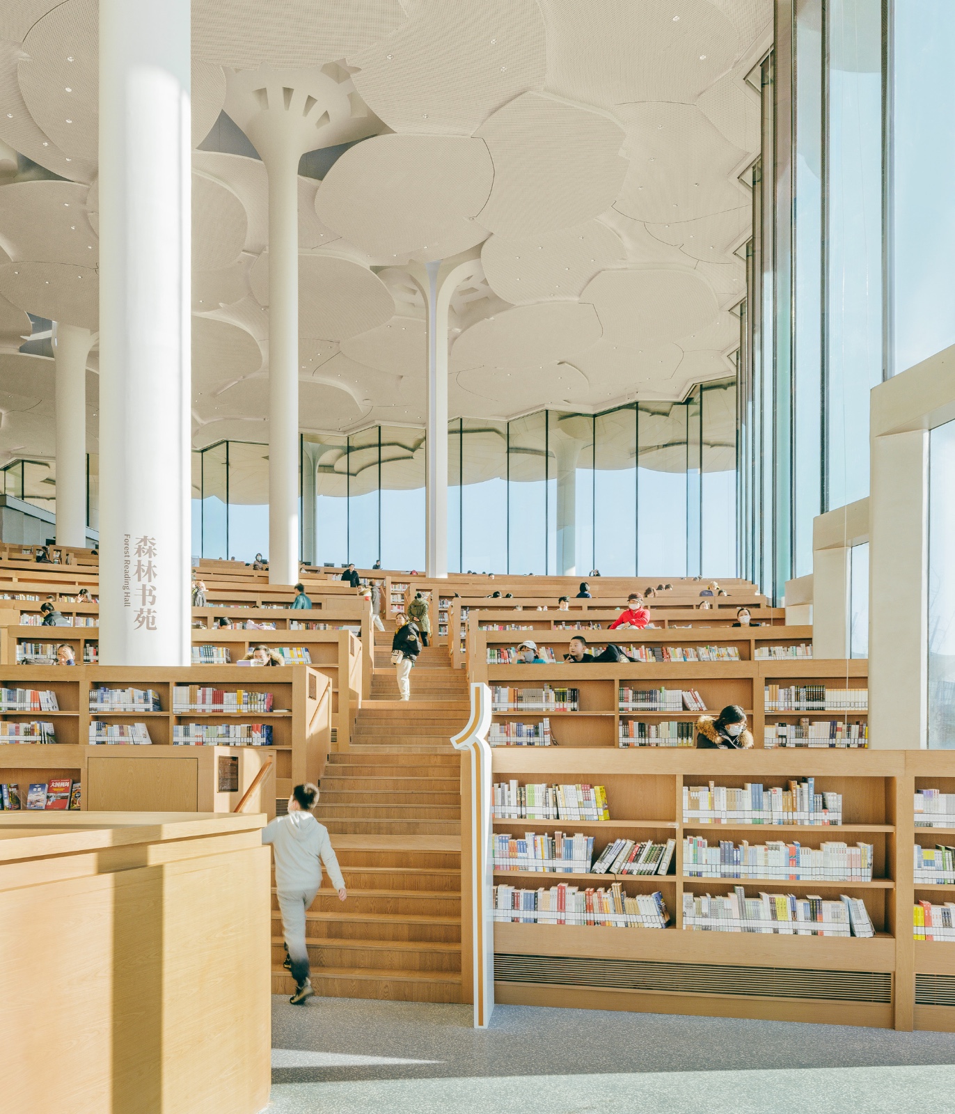 Pequim possui a biblioteca com o maior espaço de leitura climatizado do mundo