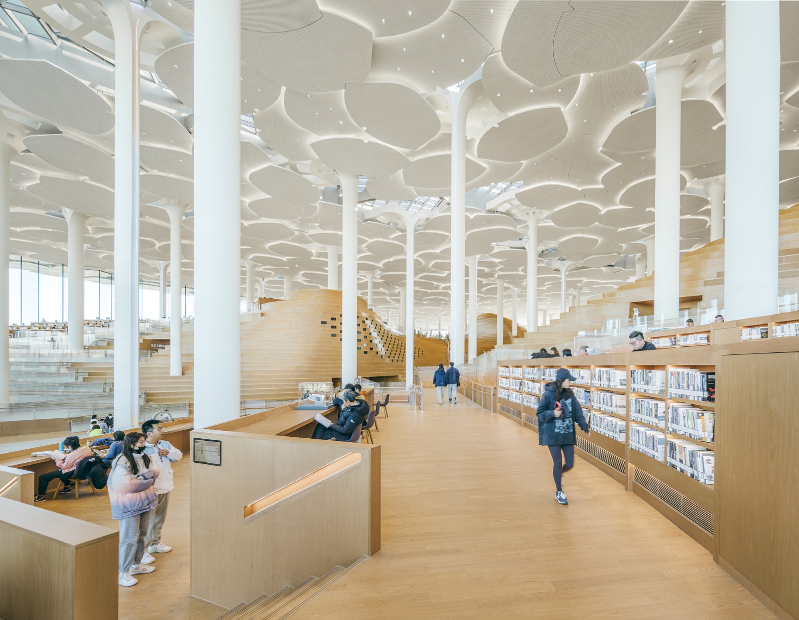 Conheça a biblioteca com o maior espaço de leitura climatizado do mundo Conheça a biblioteca com o maior espaço de leitura climatizado do mundo