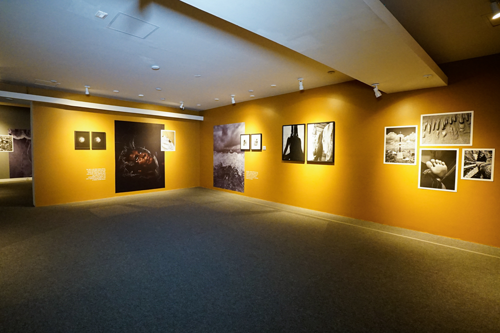 Exposições No Espaço Cultural Unifor (17)