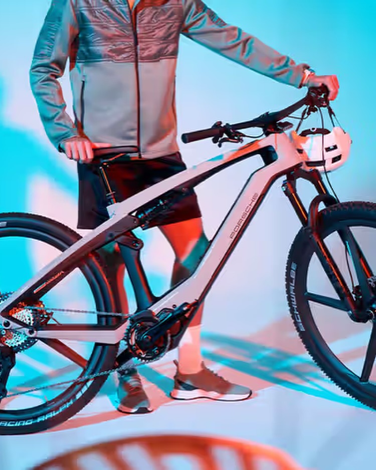 Ebike Cross Performance Exc 33