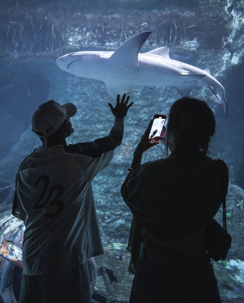 Italo Ferreira E Sofia Larocca (3)