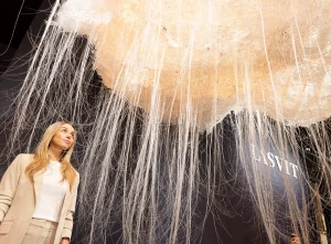 23 Eul Lasvit Dr 002 0.jpg