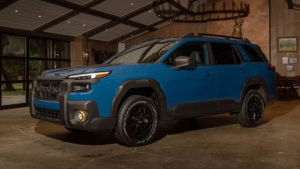 8wlyxuui6m0cx2vg5py1nkpzz