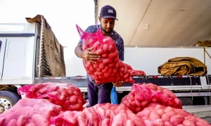 Batata Inglesa Foto Agência Brasil