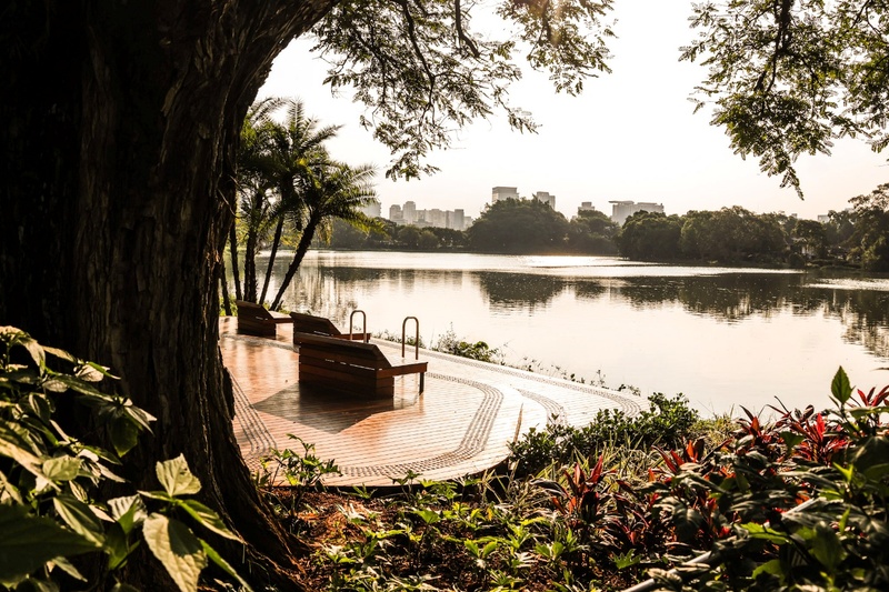 Deck No Parque Ibirapuera