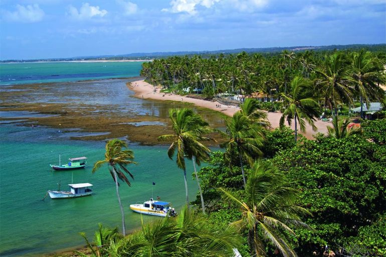 Praia Do Forte Ba