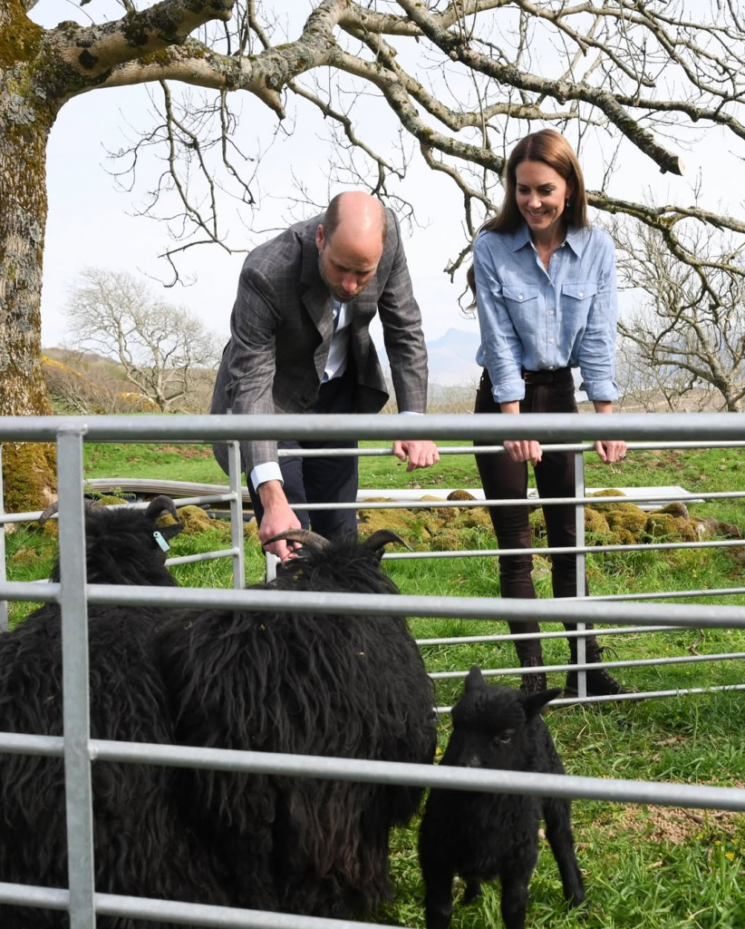 Príncipe William E Kate Middleton (2)