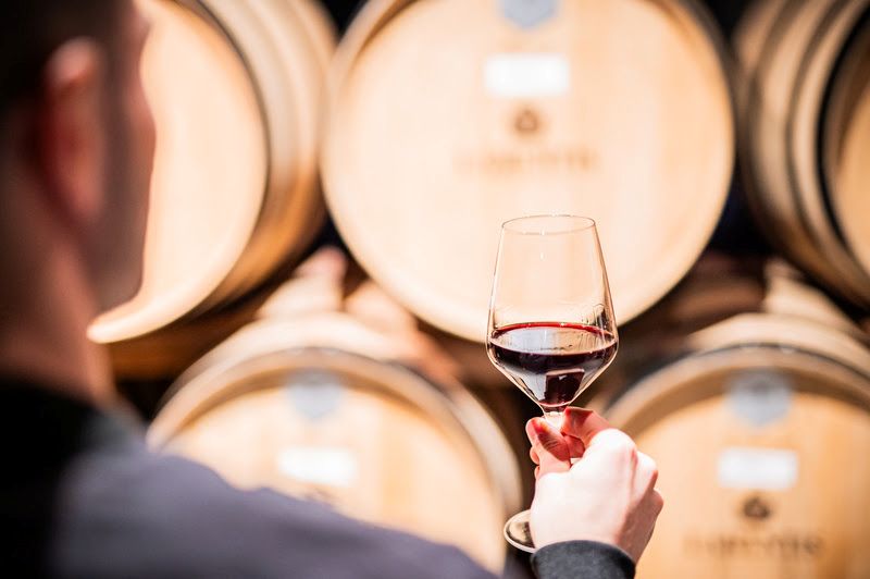 Vale dos Vinhedos apresenta vinho inédito com D.O. coletiva na Wine South America