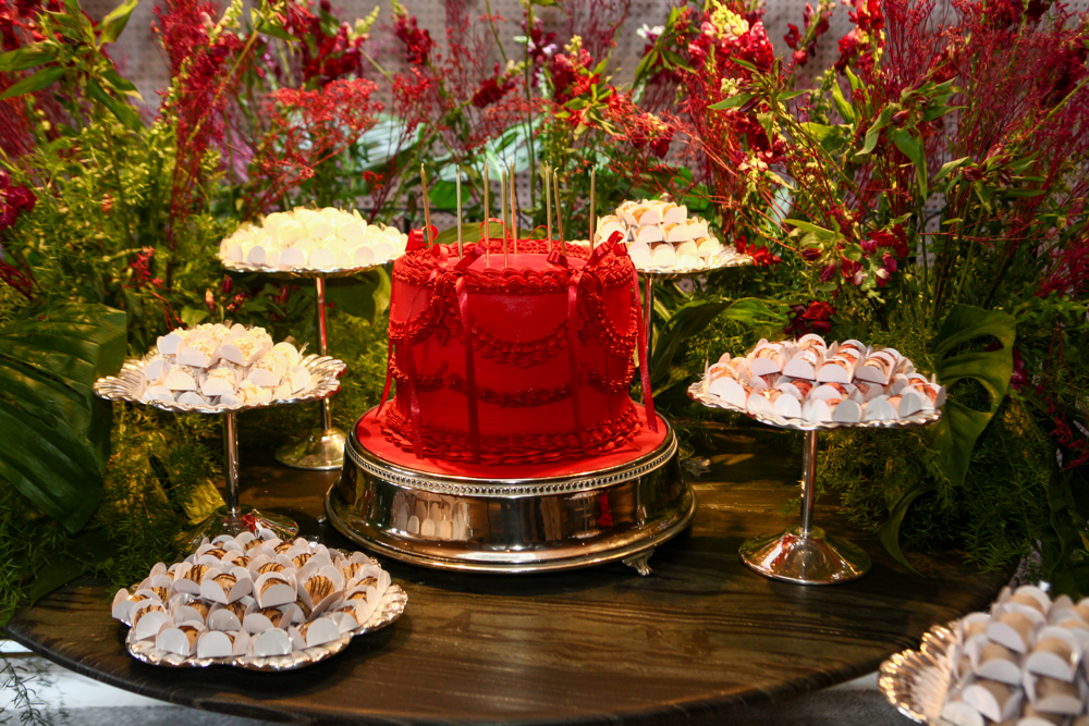 Aniversário Martinha Assunção (2)