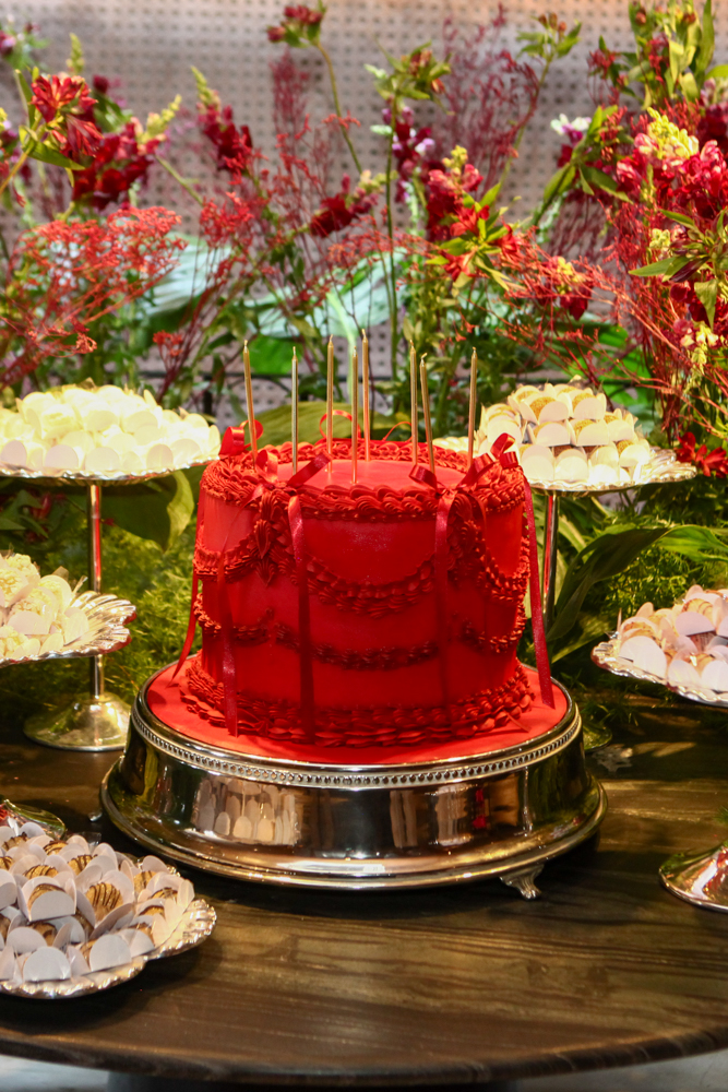 Aniversário Martinha Assunção (3)