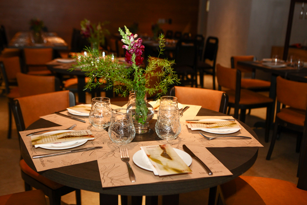 Aniversário Martinha Assunção (4)