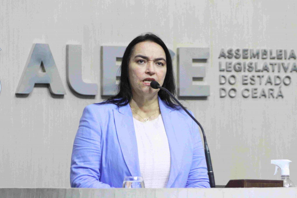 Deputada Estadual Dra. Silvana