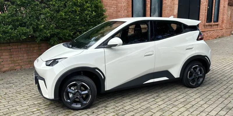 Dolphin Mini Byd