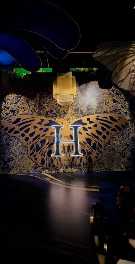 Festa De 15 Anos De Hanna Maggi Foto Reprodução Instagram (3)