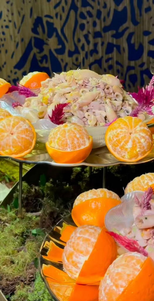 Festa De 15 Anos De Hanna Maggi Foto Reprodução Instagram (5)