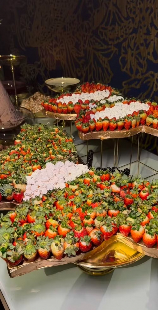 Festa De 15 Anos De Hanna Maggi Foto Reprodução Instagram (6)