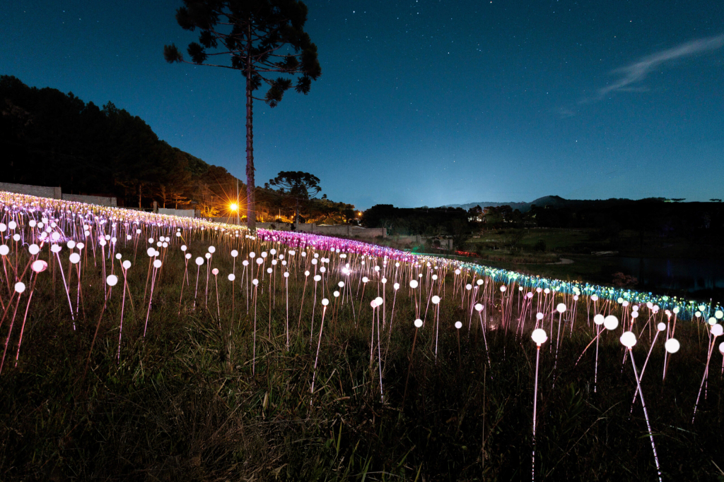 I5a5452 Copiar Scaled