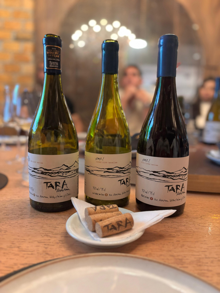 Lançamento Do Vinho Tara Na Brava Wine (3)