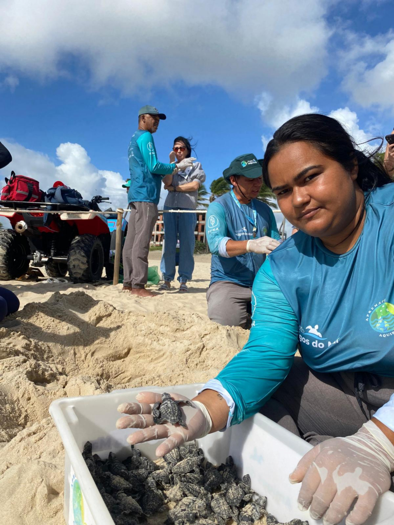 Nascimento De 101 Filhotes De Tartaruga Oliva No Beach Park (3)