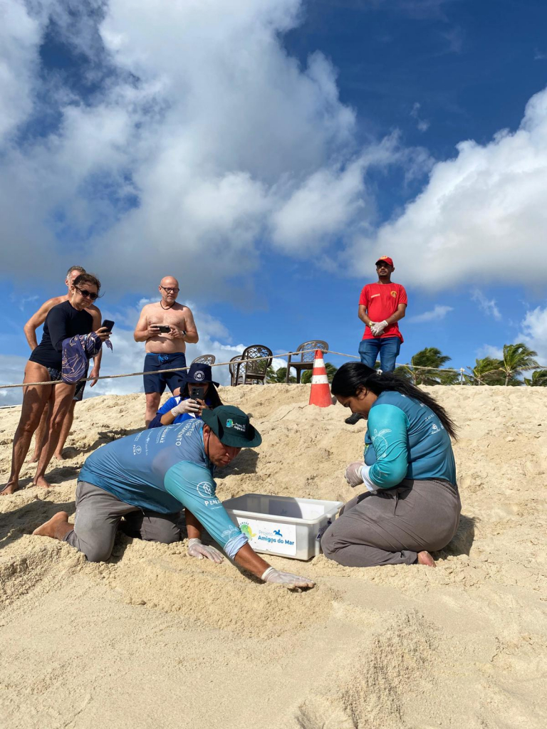 Nascimento De 101 Filhotes De Tartaruga Oliva No Beach Park (4)