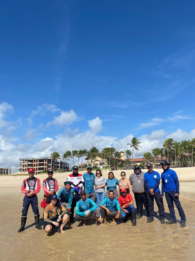 Nascimento De 101 Filhotes De Tartaruga Oliva No Beach Park